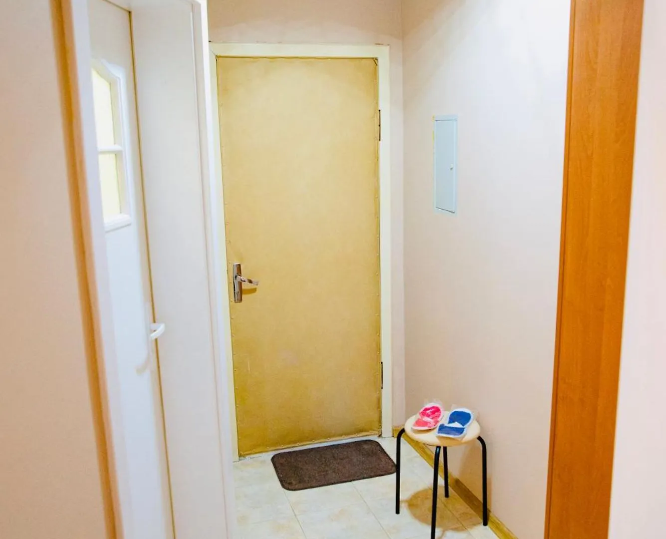 Kyiv Apartment On Derevlyanskaya Street Close To The Downtown